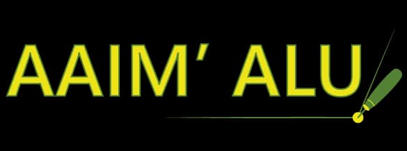 Logo AAI-M Alu